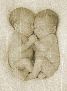 новорожденные близнецы