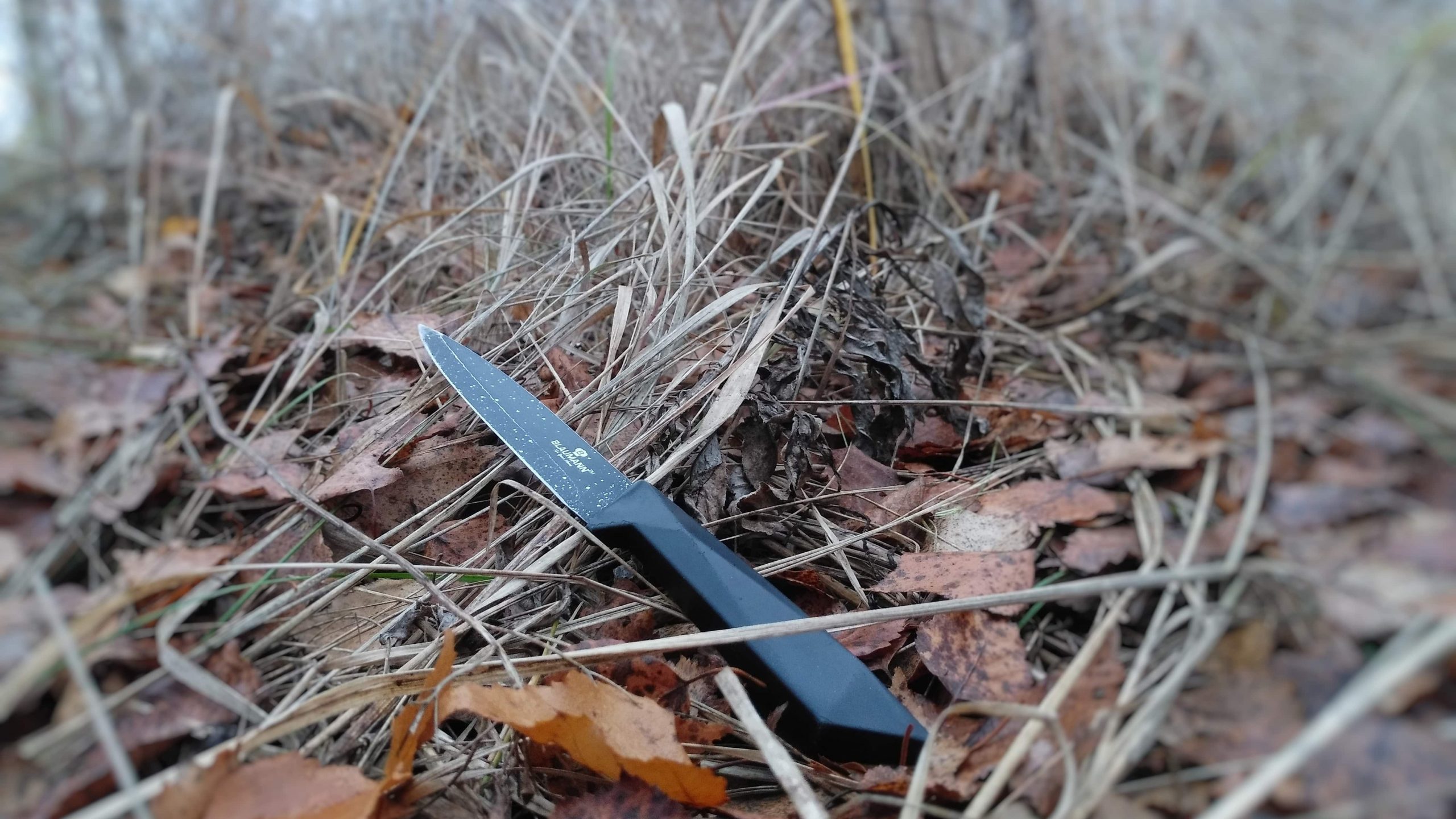 нож в лесу